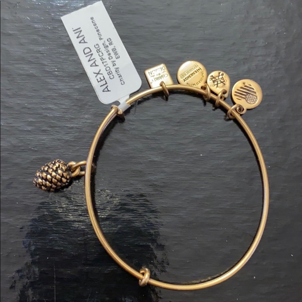 Alex and Ani pinecone bracelet